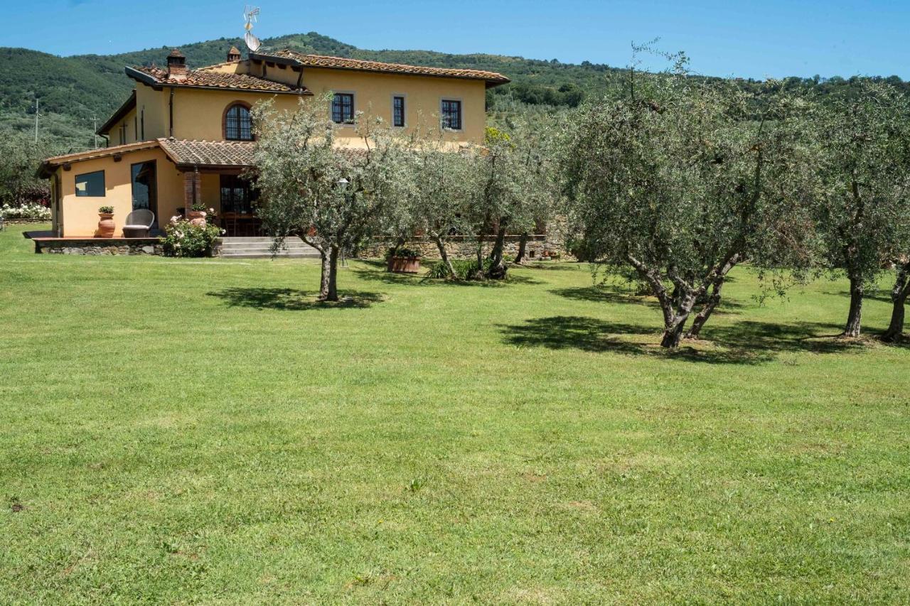 La Casa Delle Rose Villa Terranuova Bracciolini Exterior photo