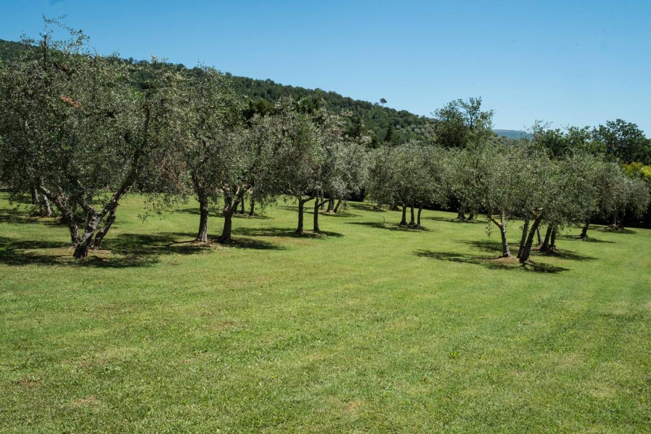 La Casa Delle Rose Villa Terranuova Bracciolini Exterior photo